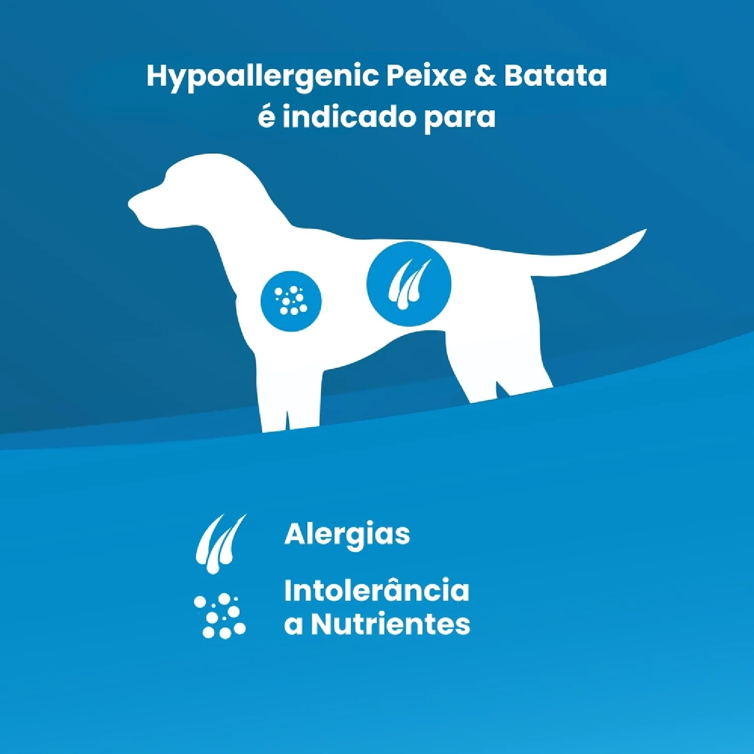 Racao Umida Vet Life Caes Hipoalergenico 2